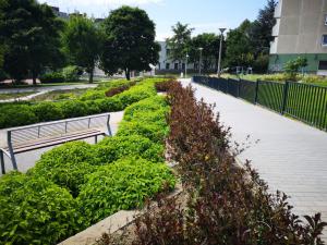 IMG_20190709_104529