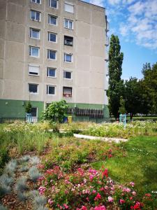 IMG_20190709_104615