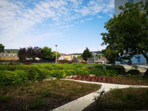 IMG_20190709_104845