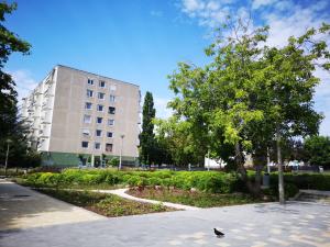 IMG_20190709_104928