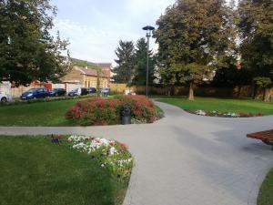 IMG_20200916_165639