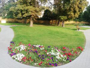 IMG_20200916_165649