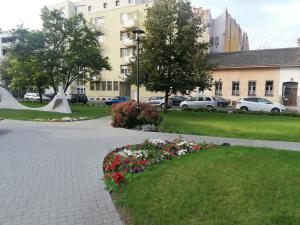IMG_20200916_165711
